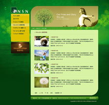 尚丞設(shè)計(jì)案例分享 美國NSN產(chǎn)品網(wǎng)站建設(shè)與互動設(shè)計(jì)